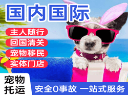 郑州机场物流国际宠物托运 【国